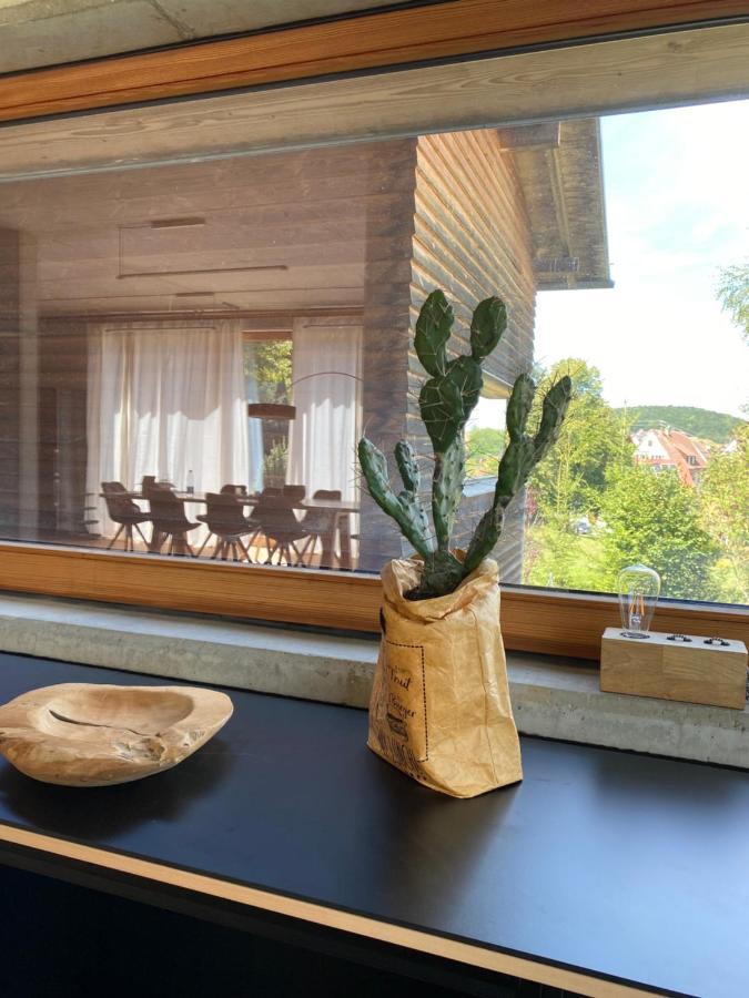 Alb Lodge Gomadingen Екстериор снимка