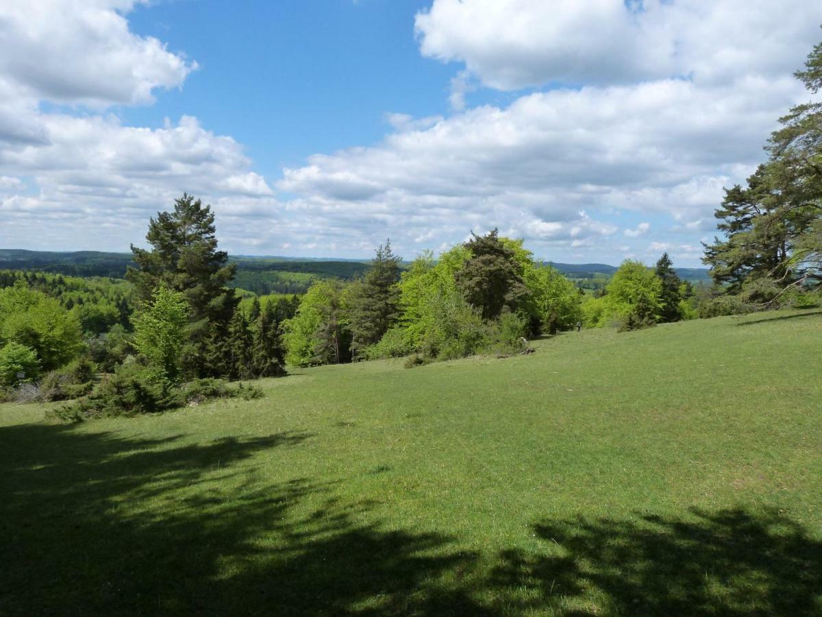 Alb Lodge Gomadingen Екстериор снимка